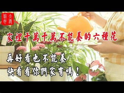 房間放真花|卧室真花擺放大揭秘